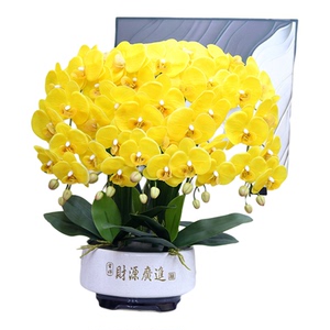 仿真花大盆保湿手感蝴蝶兰盆景家居客厅茶几装饰花电视柜玄关假花