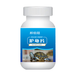 护龟片乌龟消毒片专治腐皮烂甲白眼病厌食净化水质杀菌宠物消毒液