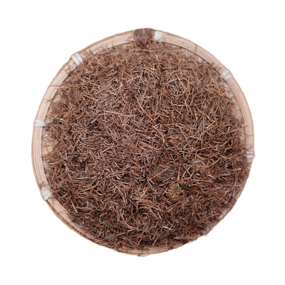 兰花松针土君子兰用发酵腐熟松针