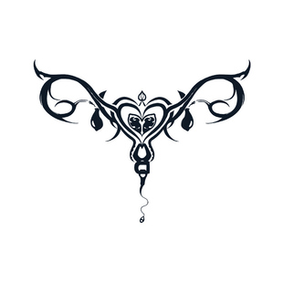 魅魔纹乳贴草本果汁半永久纹身贴纸三角区女士助兴私处防水女持久