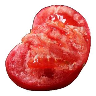 四川沙瓤普罗旺斯西红柿酸甜爽口新鲜水果番茄现摘现发5斤装包邮3