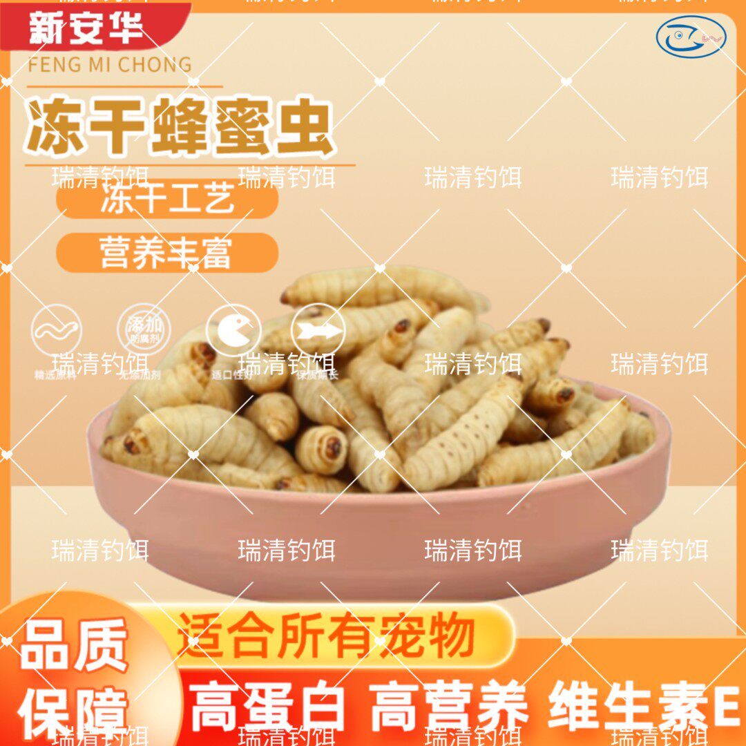 冻干蜂蜜虫玉米虫葡萄虫包邮鸟食蜜袋鼯绣眼仓鼠饲料守宫零食10g