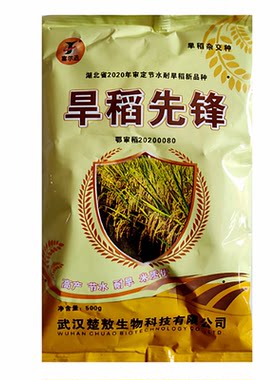 节优804杂交长粒旱稻谷水稻种子