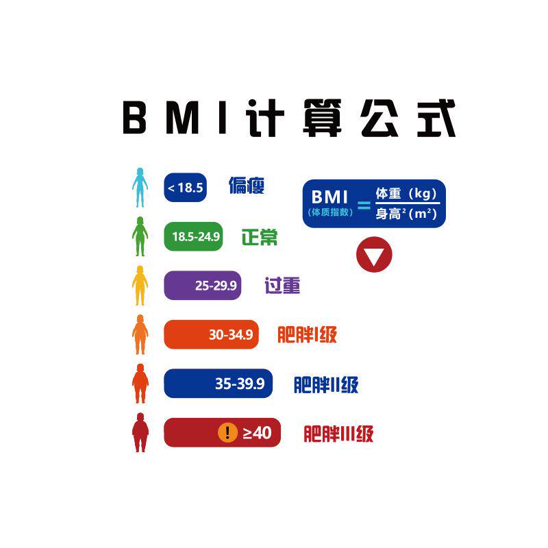 体重管理体检中心门诊文化墙海报健康减肥挂画图脂率BMI计算贴纸