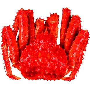 新鲜松叶蟹3斤长脚蟹板蟹雪蟹俄罗斯帝王蟹鲜活冷冻海鲜大面包蟹