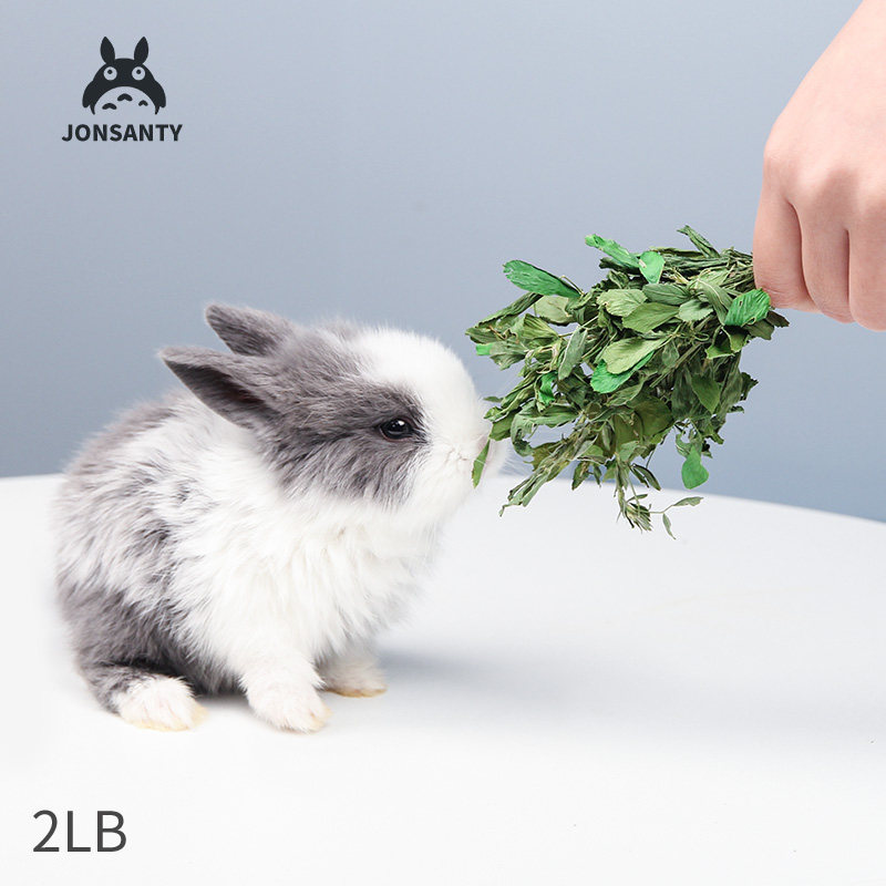 宠尚天新烘干紫花苜蓿草兔子干草料荷兰猪龙猫粮食幼兔饲料兔粮吃