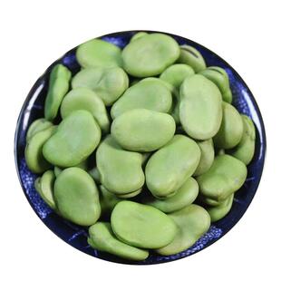 新货精选大粒干蚕豆5斤绿皮青胡豆生的可发芽做油炸兰花豆罗汉