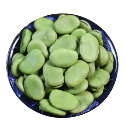 新货精选大粒干蚕豆5斤绿皮青胡豆生的可发芽做油炸兰花豆罗汉