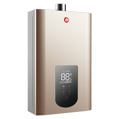 神州强排式恒温燃气热水器家用