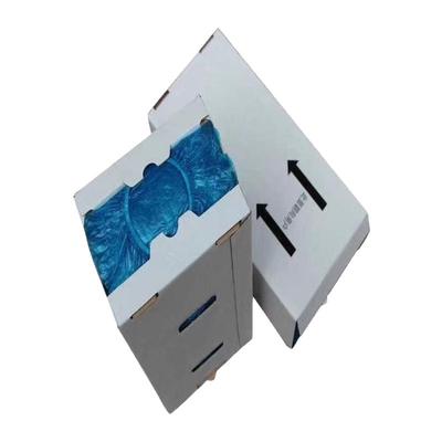 波涛专用鞋套思科铭盒装鞋套BT