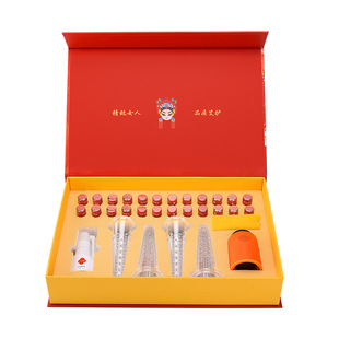 私密艾灸家用阴道私处宫灸神器妇科阴灸导管美容院专用仪器套盒装