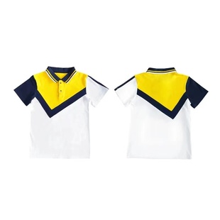 纯棉大连市沙河口区夏季中小学生校服 夏季男孩上衣短裤 女孩短裙