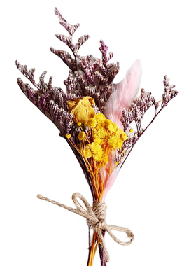 迷你小花束干花混搭永生花