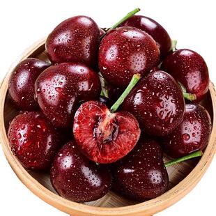 空运桑提娜车厘子应季新鲜水果5斤礼盒智利进口樱桃孕妇整箱包邮9
