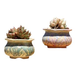 包邮新品复古印章拇指盆粗陶透气陶盆肉肉小花盆手工雕刻多肉盆