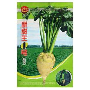 甜菜头甜王一号糖菜高产抗病庭院阳台盆栽蔬菜种子春季秋季甜菜籽