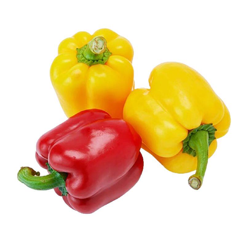 大甜椒秧苗超大甜青椒籽种菜椒种籽肉厚阳台四季春秋蔬菜种子