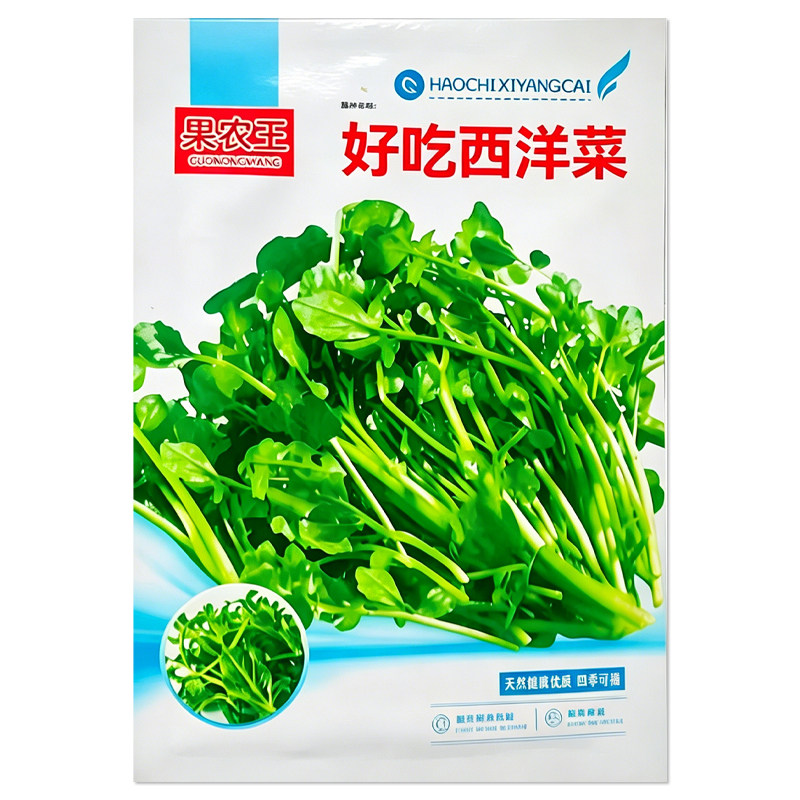 西洋菜种子豆瓣菜种子
