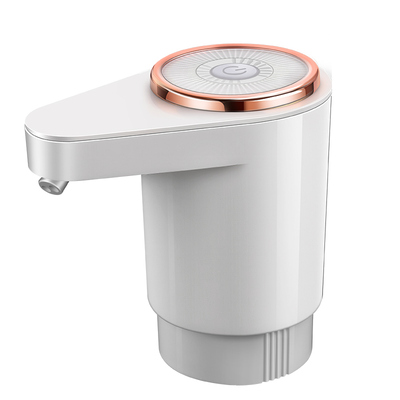 双泵双出水口桶装水电动抽水器