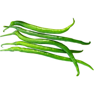 超长香辣线椒种子种苗春秋季高产早熟种籽阳台盆栽辣椒种蔬菜种孑