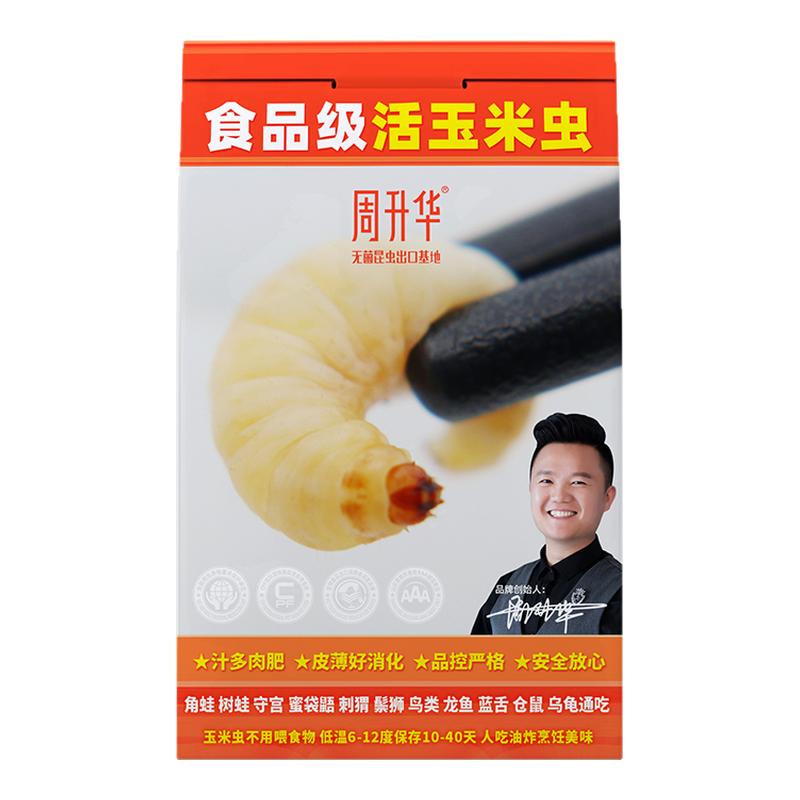活体无菌玉米虫葡萄蜜虫捷角守宫角蛙蜘蛛乌龟仓鼠树蛙异宠鸟活食