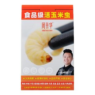 活体无菌玉米虫葡萄蜜虫捷角守宫角蛙蜘蛛乌龟仓鼠树蛙异宠鸟活食