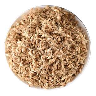 生麦芽中药材泡水喝大麦芽茶回奶特级晒麦牙茶中草药店铺