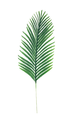大片棕榈叶绿植仿真芭蕉叶旅人蕉