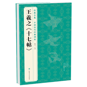 经典全集 王羲之《十七帖》中国历代碑帖精粹译文简体注释东晋草书毛笔字帖书法成人学生临摹帖练古帖练字中国美院出版社 杨建飞