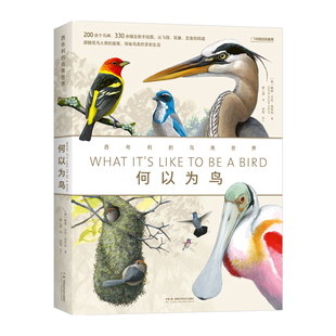 何以为鸟西布利的鸟类世界科普图鉴200余个常见鸟种或类群330余幅全新手绘图介绍鸟类生活识鸟辨鸟指南形态生理构造行为演化解析