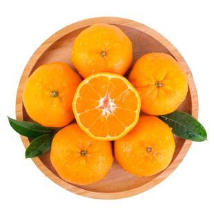 湖南麻阳冰糖橙彩箱5斤9斤礼盒手剥甜橙子新鲜水果脐夏血多汁包邮