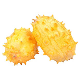 火参果种子火星果海参果非洲蜜瓜种子刺角籽蔬菜四季盆栽蔬菜种孑