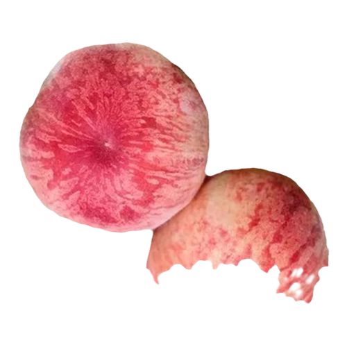 早熟水蜜桃树苗嫁接鹰嘴黄桃树南北方种植巨型桃树水果苗当年结果