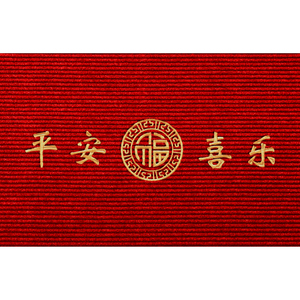 高级感家用入户门地垫免洗防滑垫