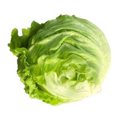 千牛优福汉堡生菜球生菜蔬菜沙拉