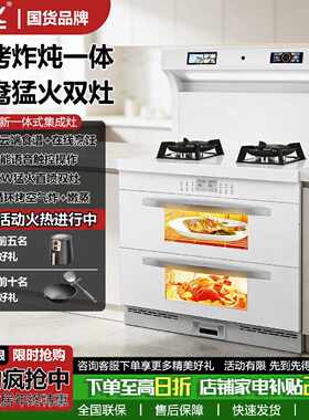 【新飞】新款白色集成灶家用一体灶厨房大吸力智能双屏蒸烤炖消集
