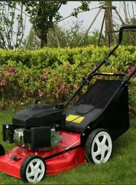 供应零售大功率四冲程手推式汽油割草机 小区草坪绿化修剪草坪机