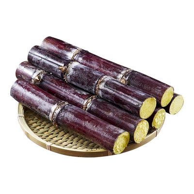 【精选中段】广西黑皮甘蔗！现砍