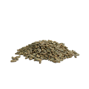 RyePale淡色裸麦芽维耶曼Weyermann德国原装进口啤酒麦芽自酿原料