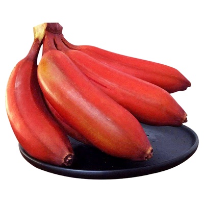 广西红美人香蕉新鲜水果当季现摘正宗小香焦福建红皮芭蕉米蕉包邮