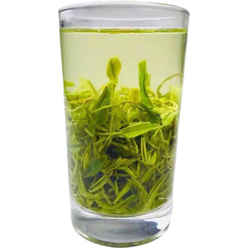 正宗崂山绿茶2026新茶春茶500g