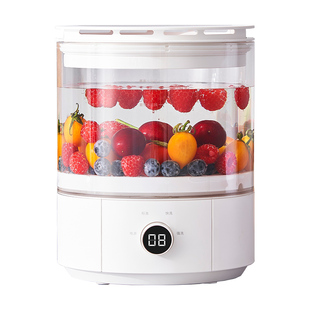 大宇果蔬清洗机净化器除农残蔬菜消毒净化器多功能食材净化机QX5