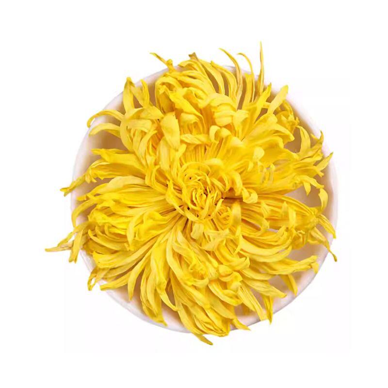 菊花金丝皇菊特级大菊花茶黄菊一朵一杯贡菊胎菊泡水花茶包多规格