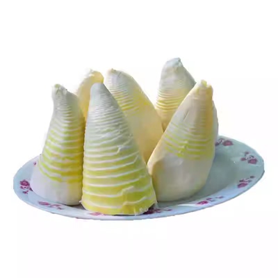 正宗江西冬笋新鲜笋尖5斤整箱装多规格时令蔬菜火锅商用批发