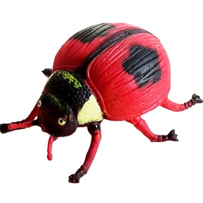 仿真昆虫动物模型瓢虫蝴蝶大螳螂