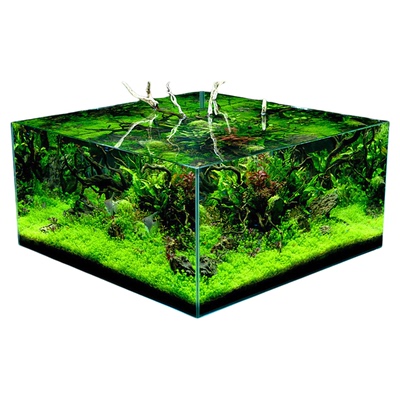 烟火定制鱼缸金晶超白玻璃