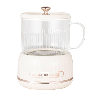 养生电炖杯生日礼物女生女朋友产妇妈妈实用春节送老师的高档礼盒