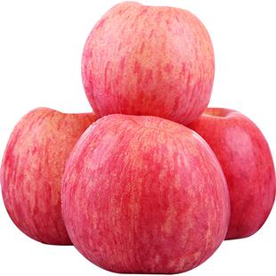 洛川苹果正宗陕西洛川红富士新鲜水果脆甜延安苹果一级果12枚75mm