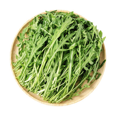 芝麻菜沙拉食材YIKECAI新鲜采摘