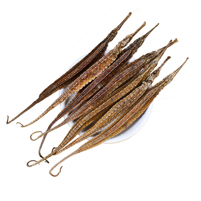 补宜养广东省三角拟海龙